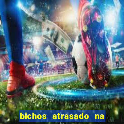 bichos atrasado na loteria dos sonhos